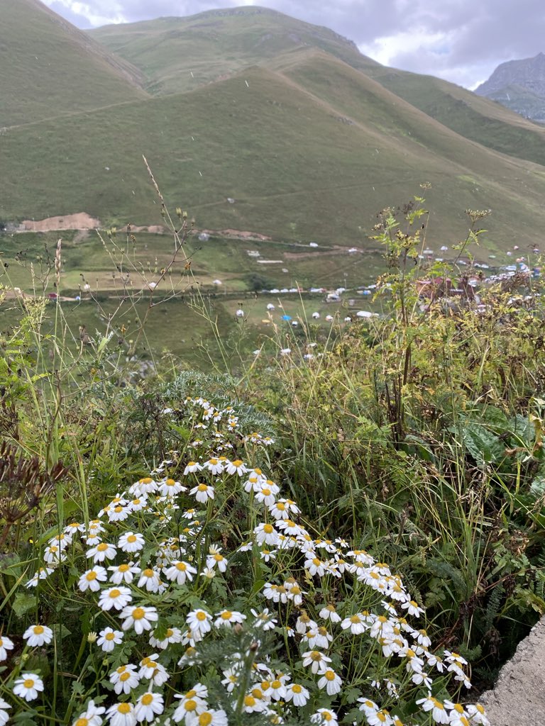 مس.السُّمو tweet media