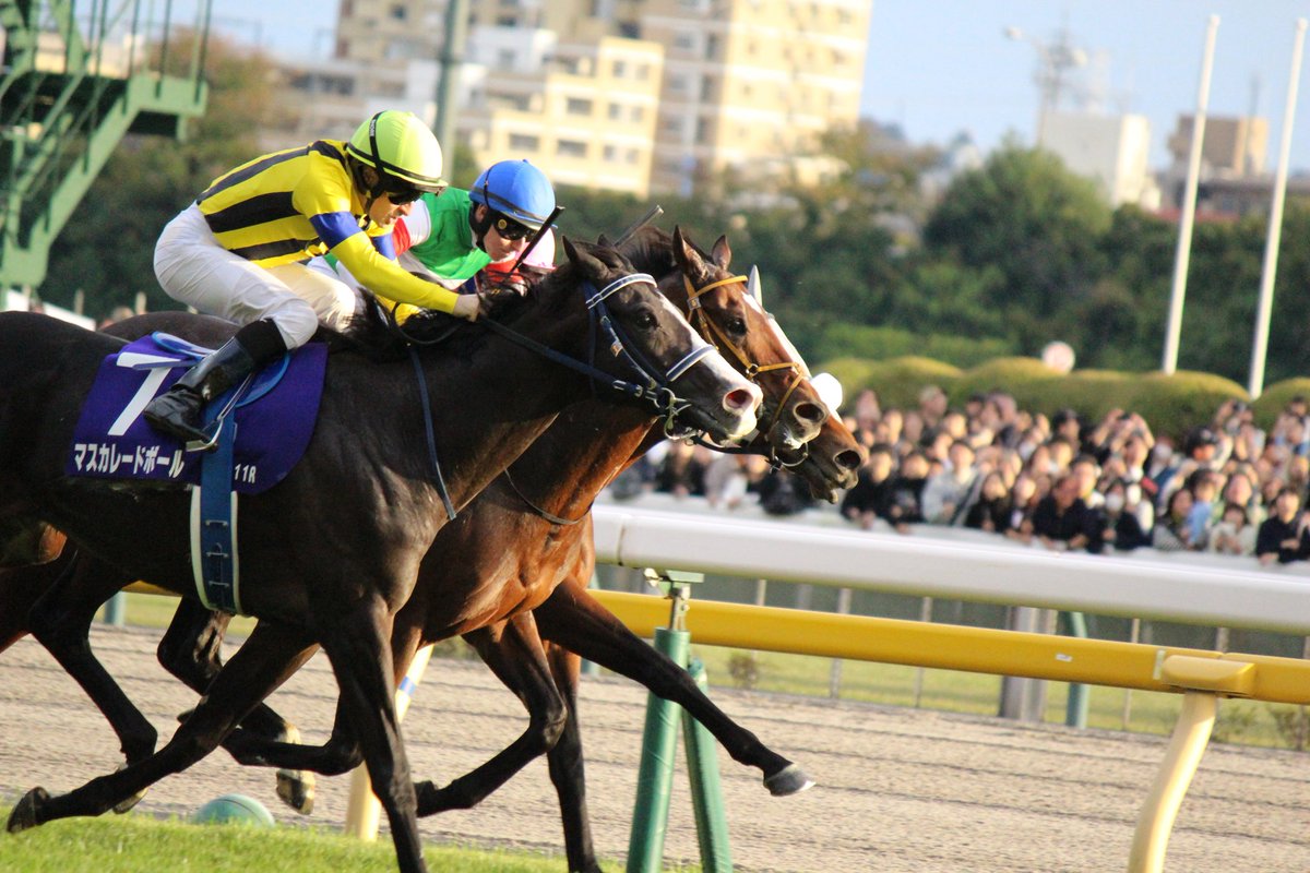 みこパパ (@eZLFac4GTO4UrR7) / Posts / X