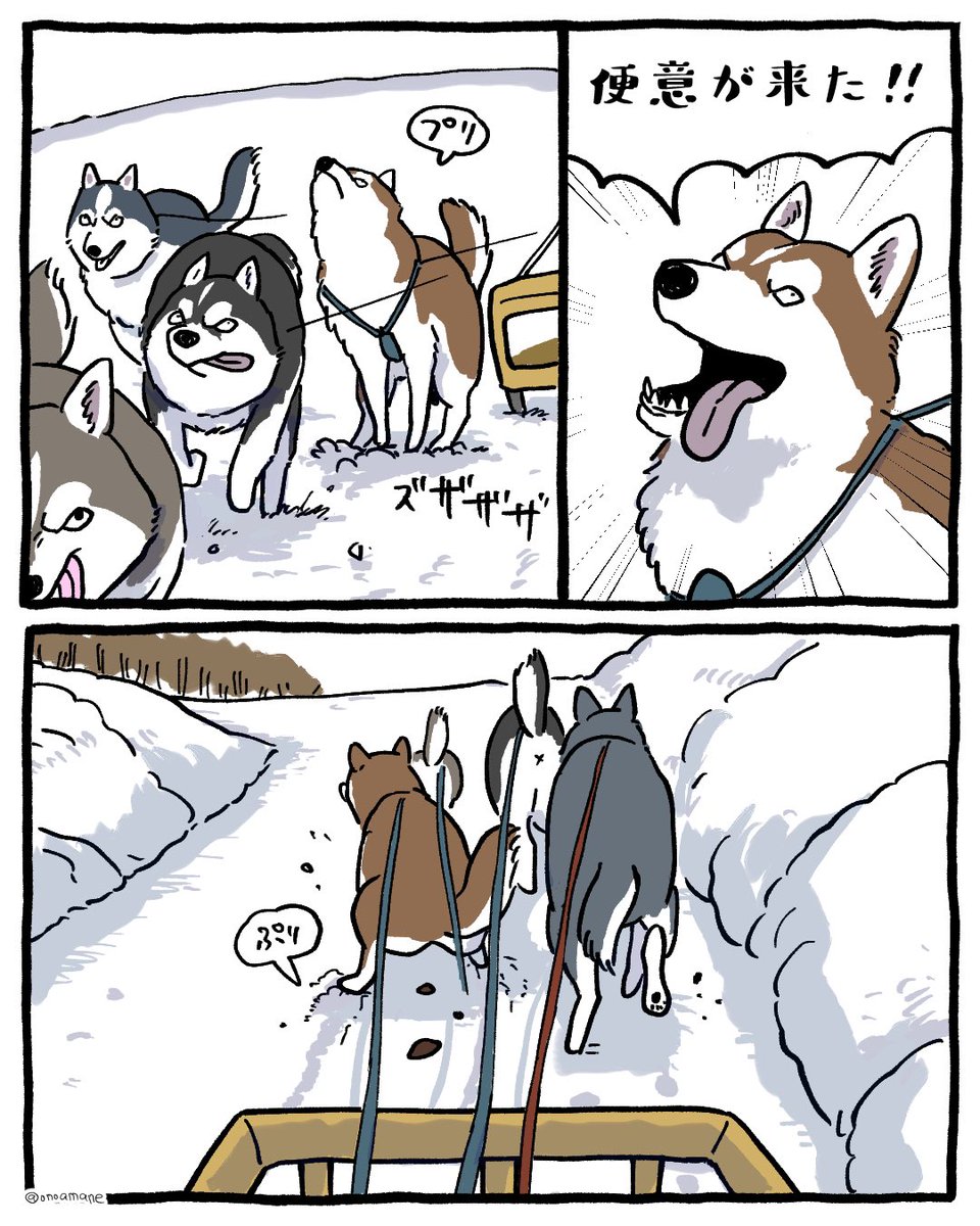 おのあまね (@onoamane) on Twitter photo 