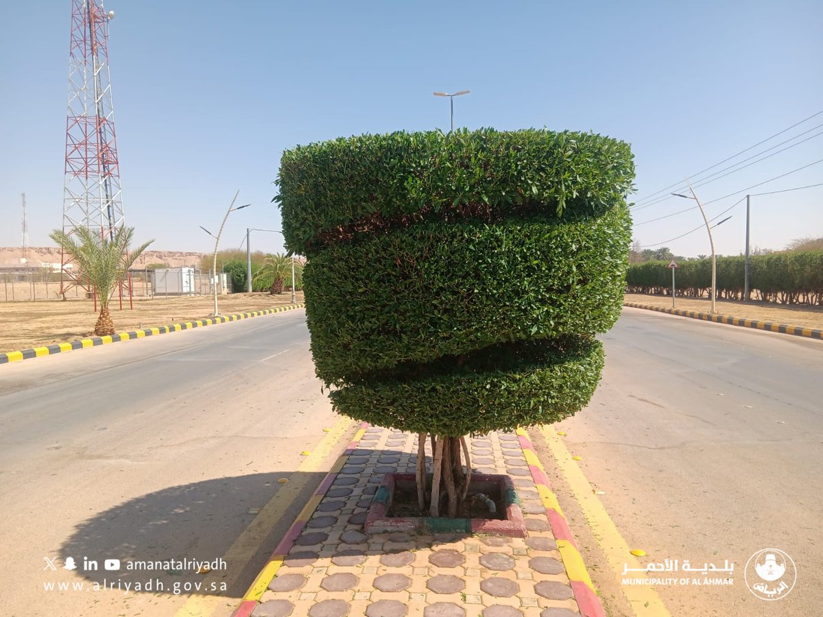 بلديةالأحمر تواصل أعمال تنسيق الأشجار  في الطرق الرئيسية.
#بلدية_الأحمر
#أمانة_منطقة_الرياض