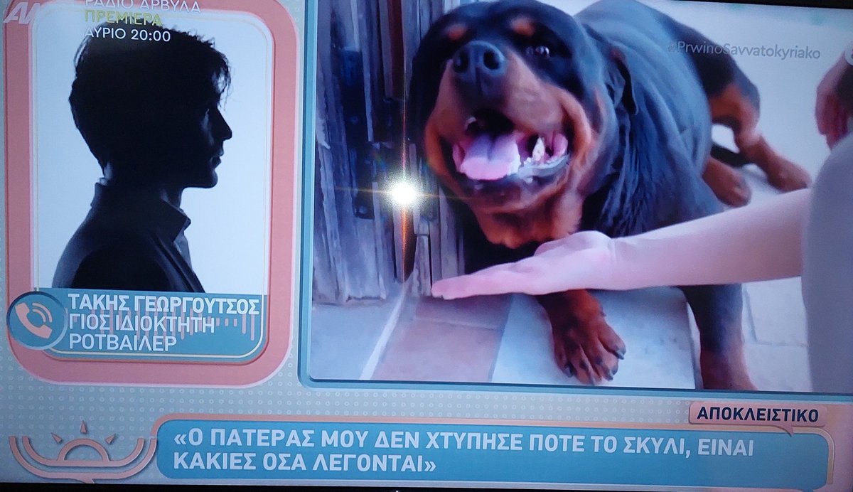 dogattacksGR's tweet image. Οι παρανοϊκοι απάνθρωποι κτηνολάτρες,έχουν γεμίσει ανοησίες το διαδίκτυο λόγω του στρεβλού ψυχασθενικού αξιακού συστήματος που έχουν,και λένε ότι "καλά να πάθει ο 70χρονος στην Καλαμάτα,αφού δεν φερόταν καλά στον σκύλο".
Ψέμματα όλα.
Κράξτε την απανθρωπιά τους όπου τους πετύχετε.