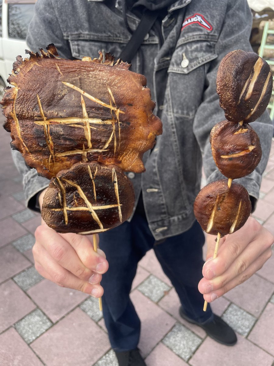 猫まんまページ 猫まんま 猫まんま カード検索 ｜ Z/X - Zillions of enemy X