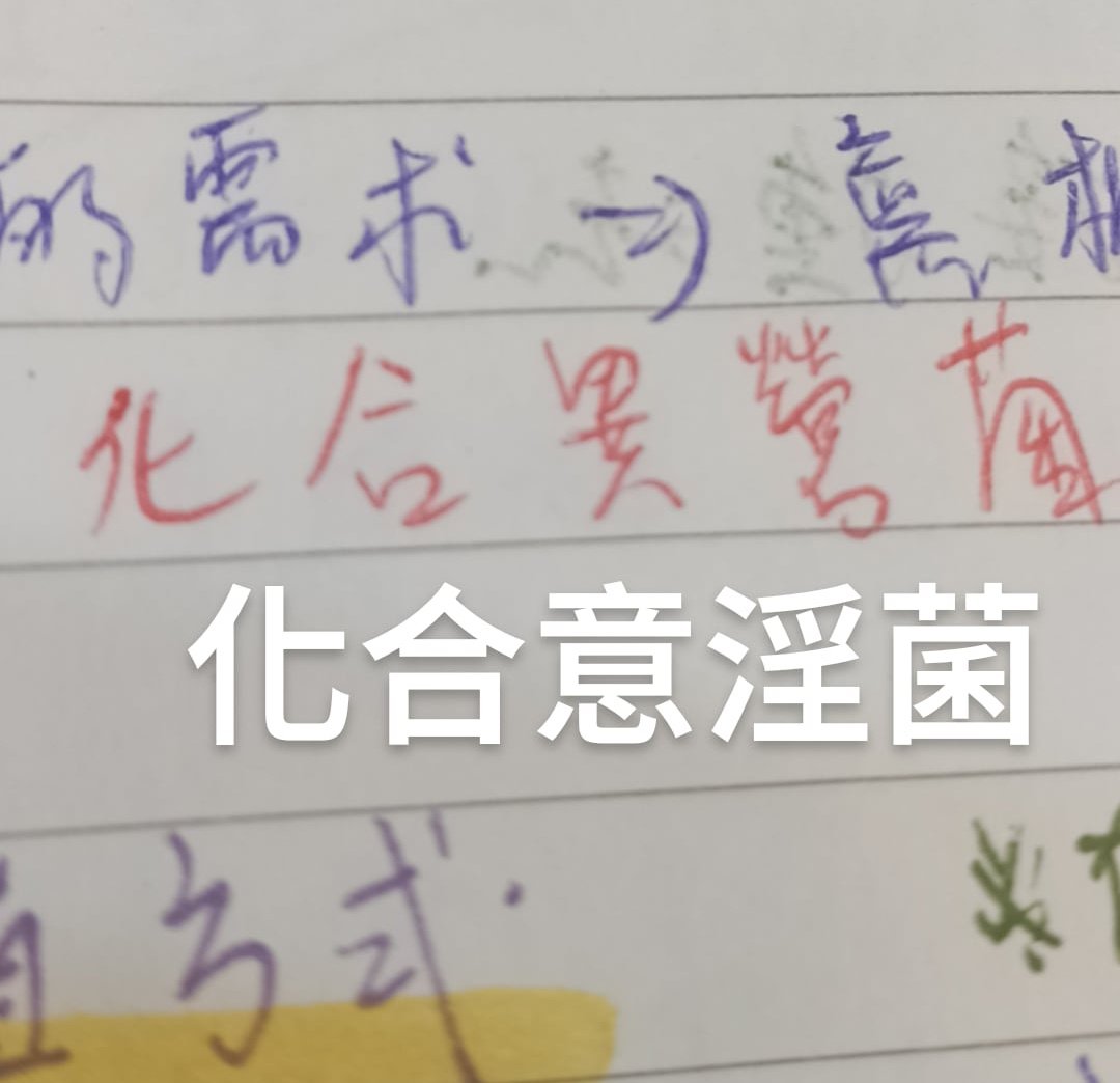 多肉草莓🍓 tweet media