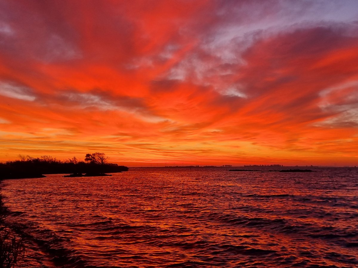 We blazen 42 kaarsjes uit vandaag!🥳 #goedemorgen #birthday