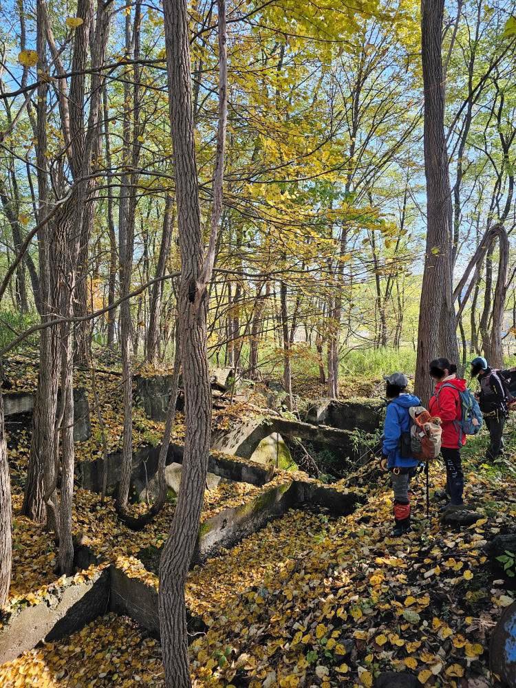 スーパ採集ガイド ⑤北海道東北部編 スーパ採集ガイド ⑤北海道東北部編