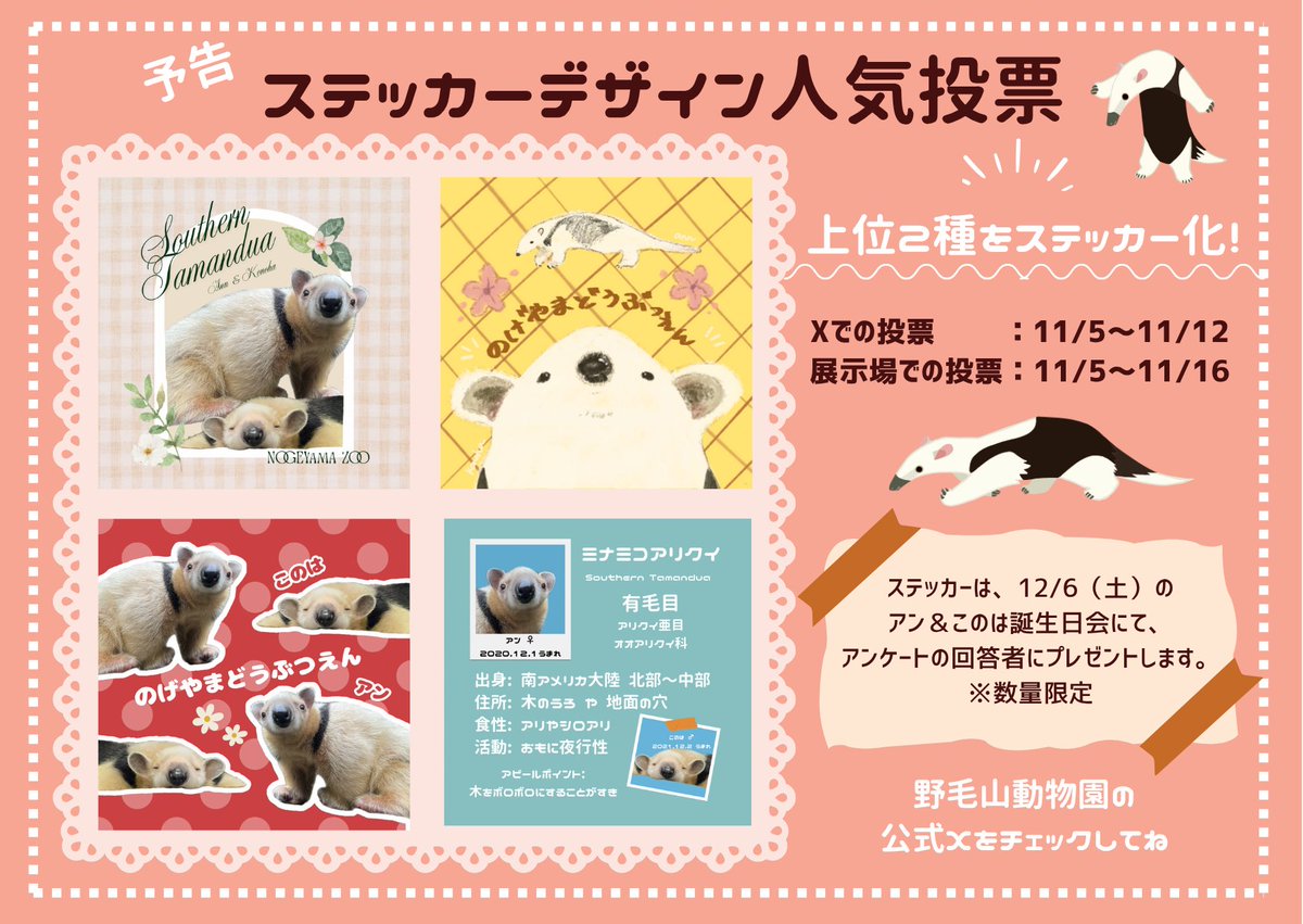 予告】11月5日より #ミナミコアリクイ ステッカーデザインの人気投票を