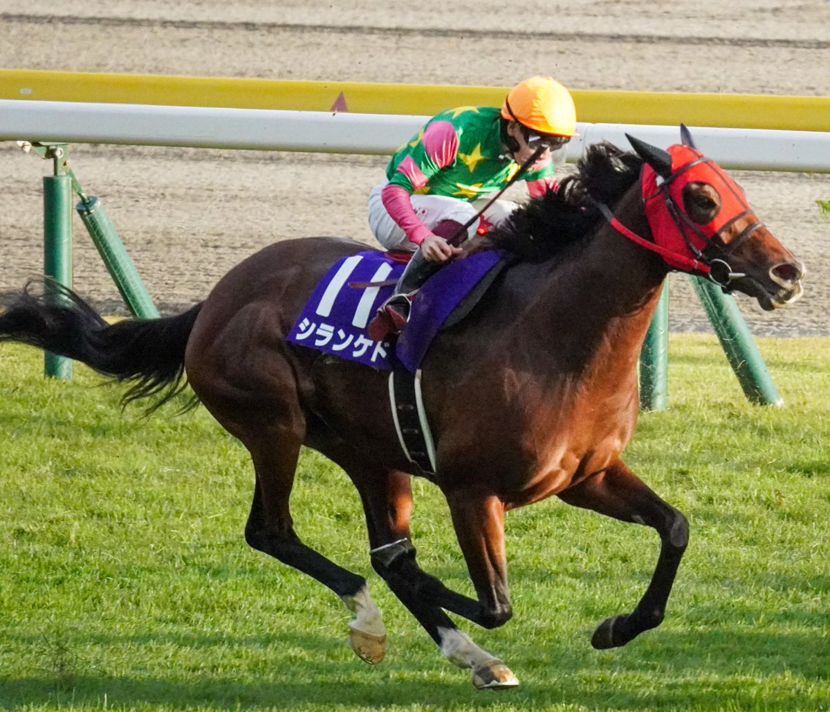 三峰あこ (@ako_mmd) / Posts / X