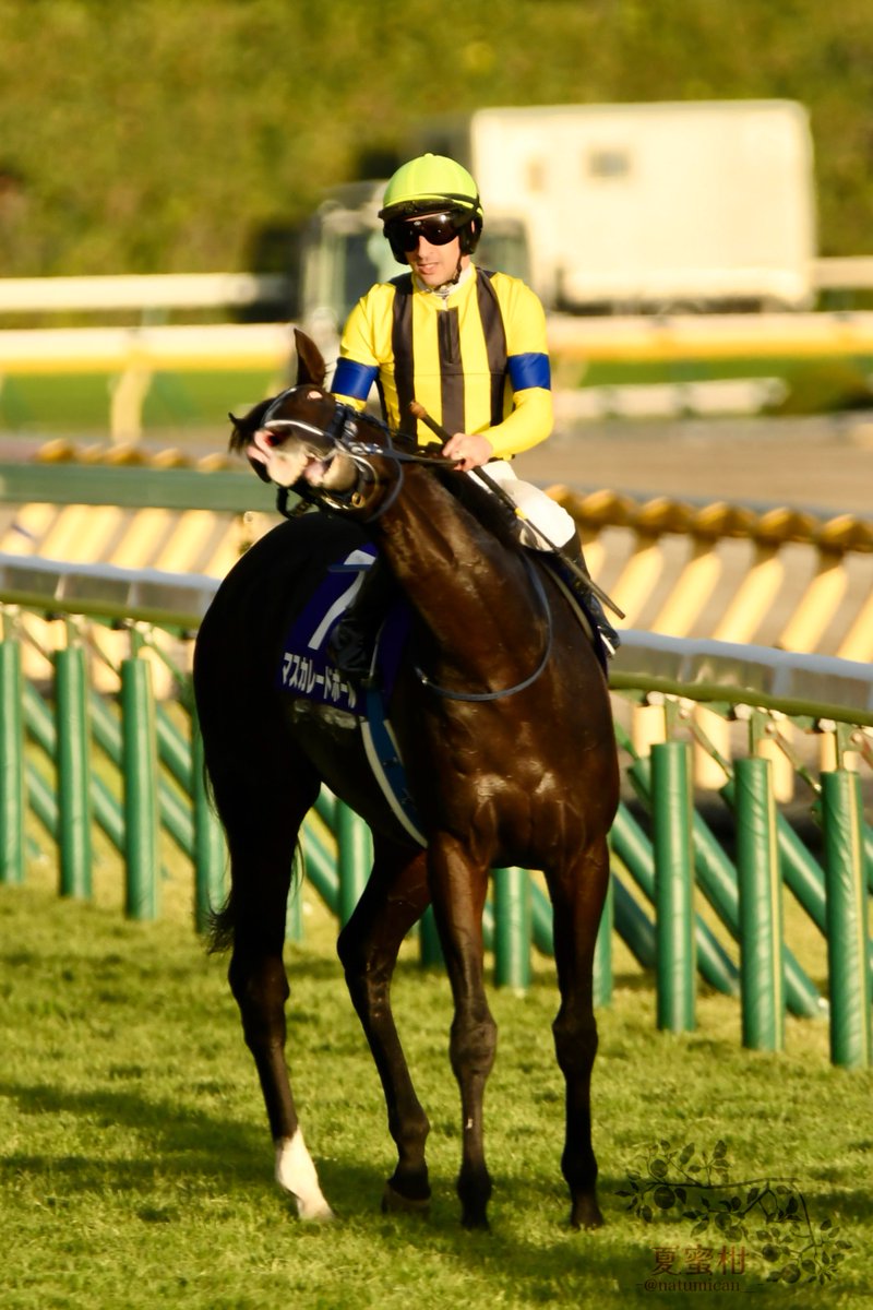 三峰あこ (@ako_mmd) / Posts / X