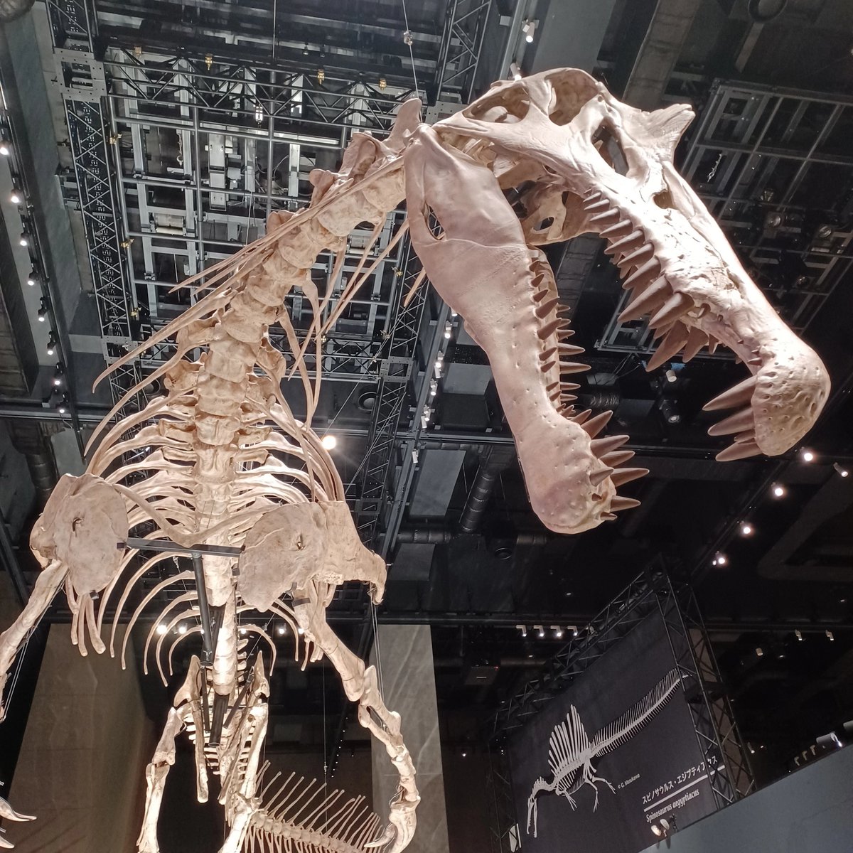 taka (@taka32927441) / Posts / X