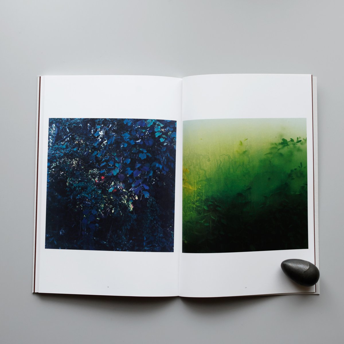 POETIC SCAPE Projects tweet media