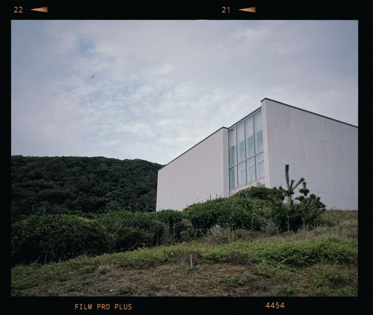 富山ひつじ on X