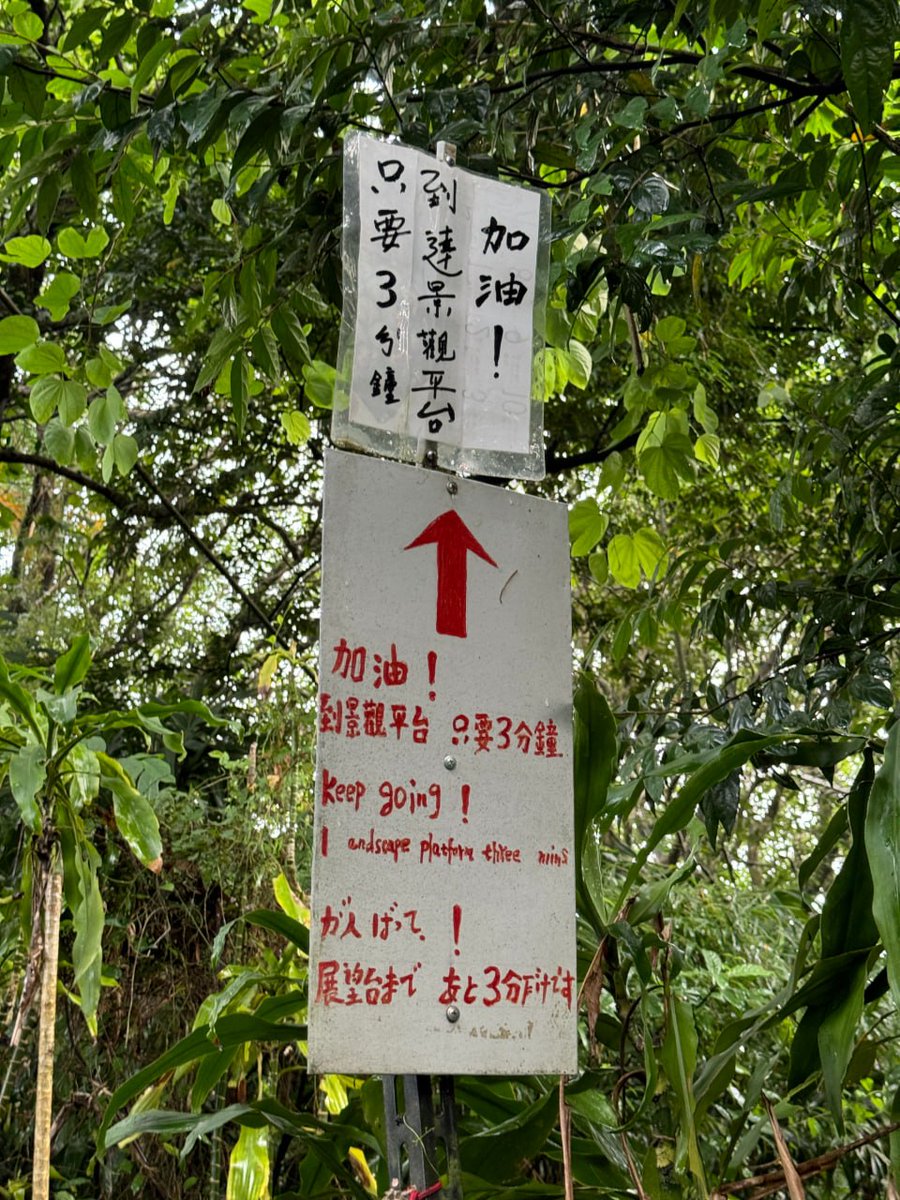 DikccsBeil's tweet image. 曇りの日の空気って、なんだか優しくて深呼吸したくなる💨