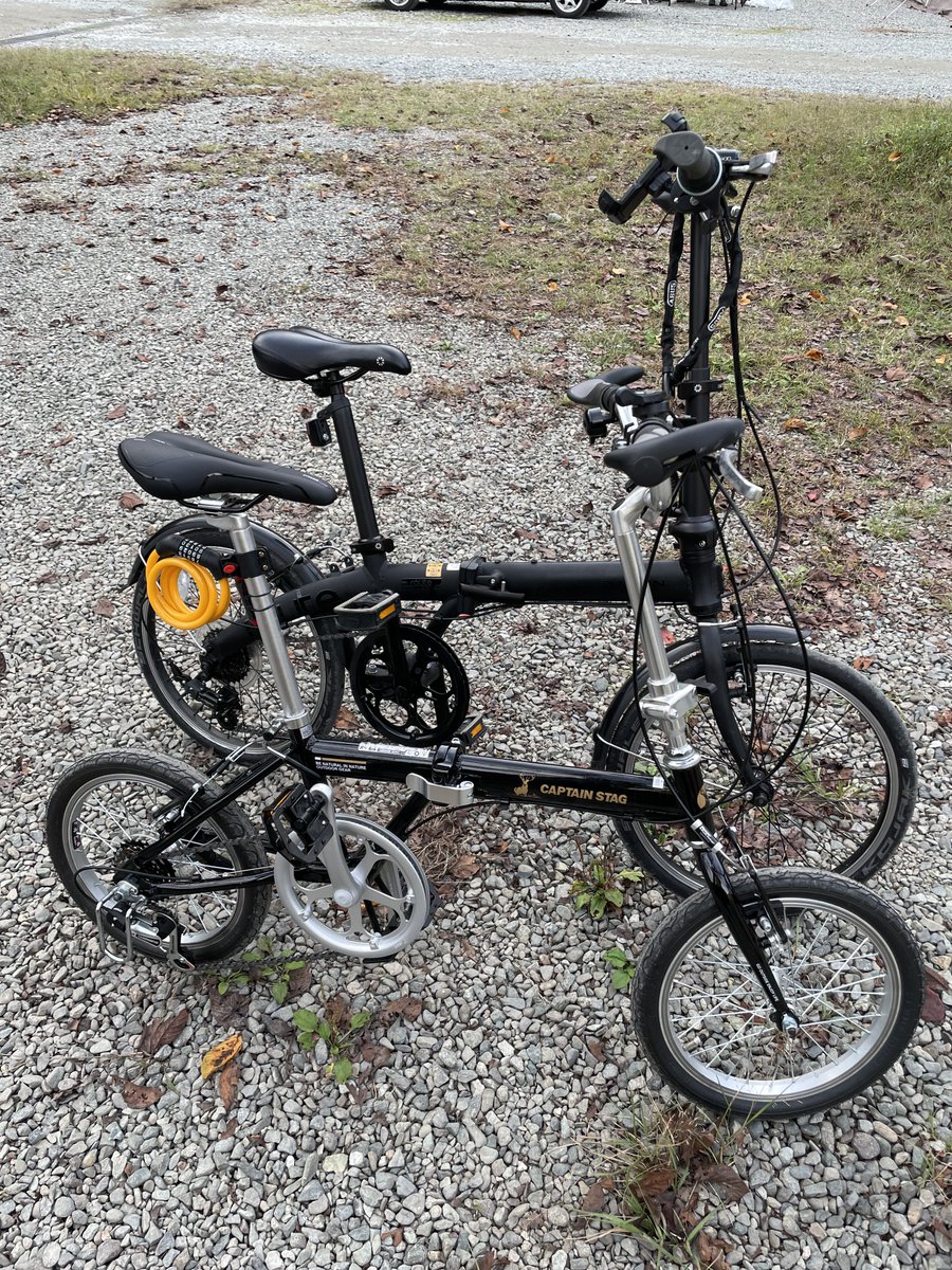 こいけ ZX-TELカベカケ-＜1＞ 新品 | 通信機器その他