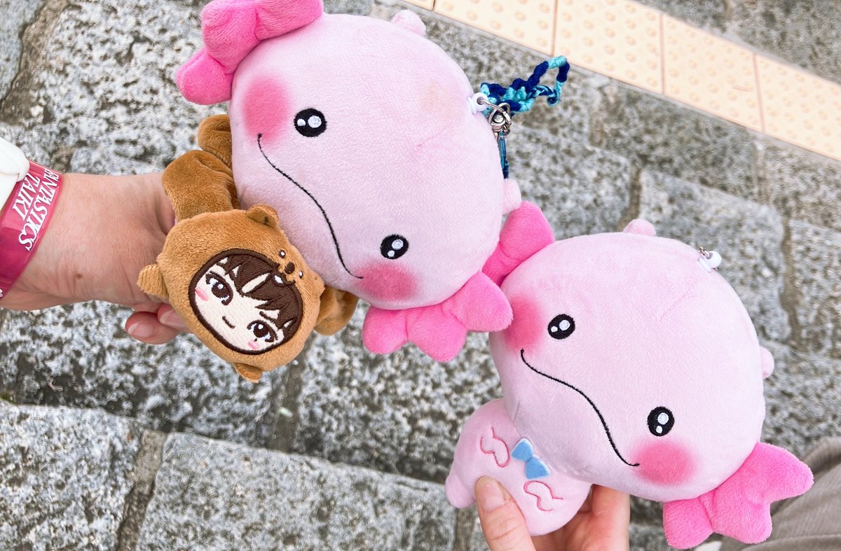 うめちゃん (@22S10s) / Posts / X