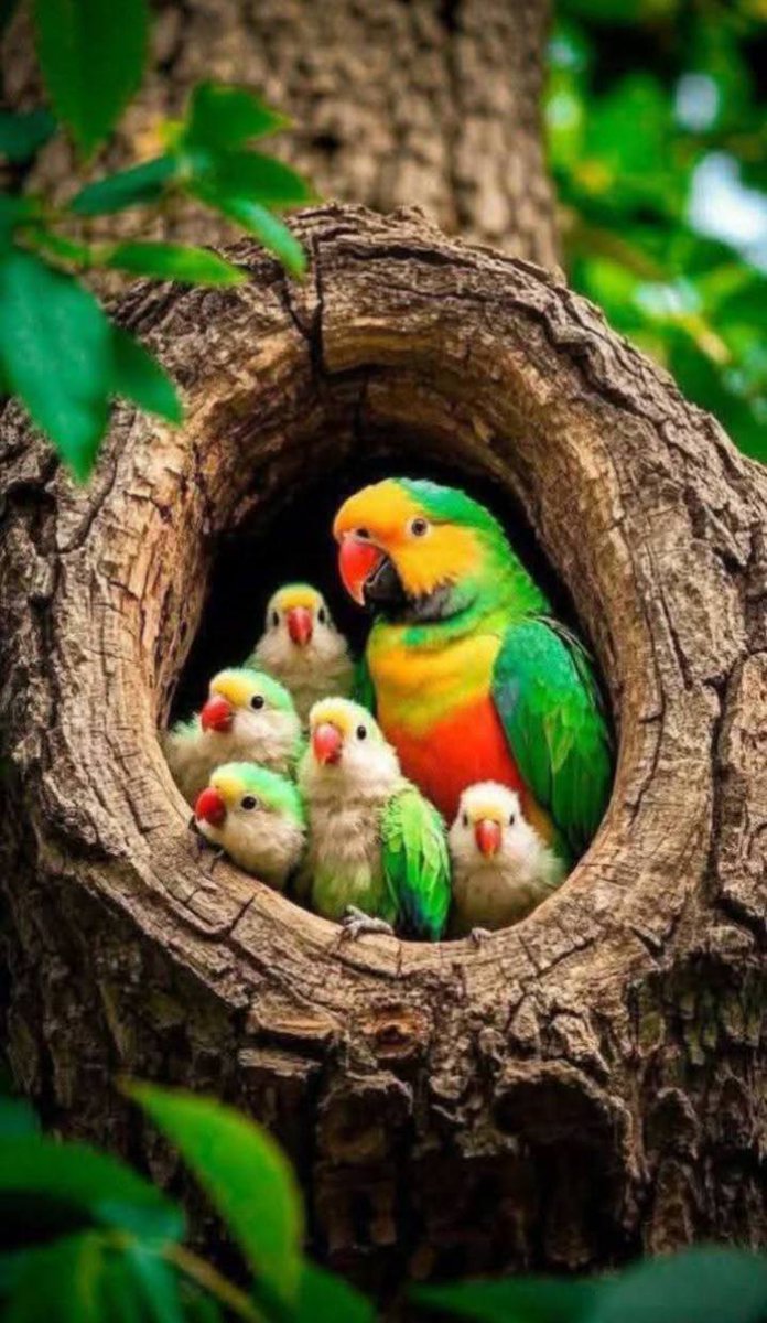 pic of the day... bon dia, good day... 😅🤗😉