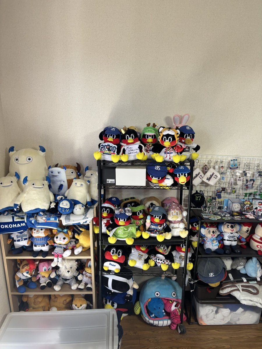 クワ🦦 tweet media