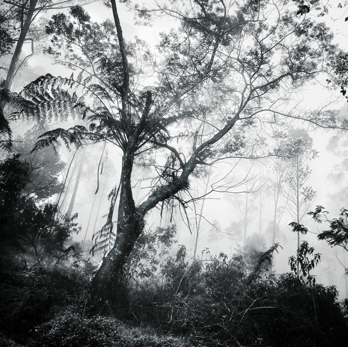 © 2025
➤ Java High