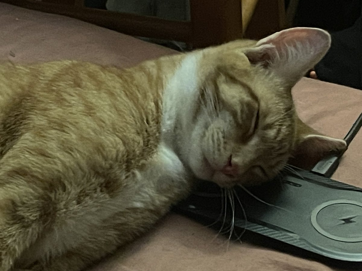 Gary, wirelessly charging so he can resume terrorism at 2:30am 😂