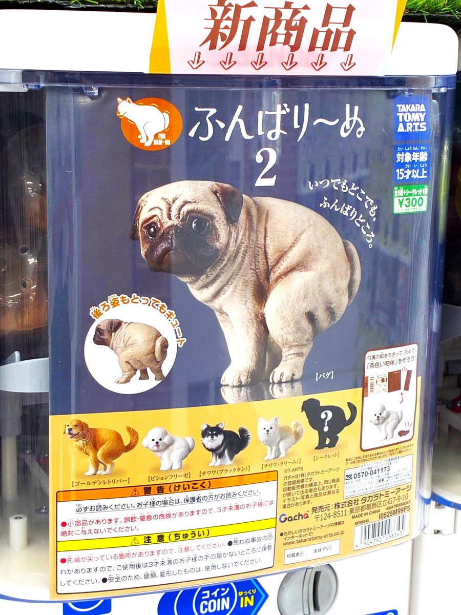 gashacoco(ガシャココ)【公式】 on X gashacoco(ガシャココ)【公式】 on X