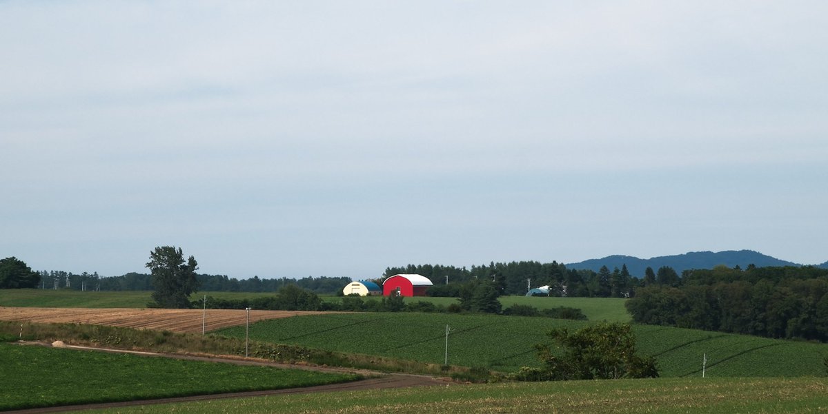 ヌ一べル (@obladi__blada) on Twitter photo 