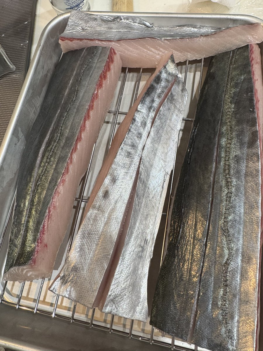 P*9様 WT216  1379 魚 置物 DAHL JEN s-l400.jpg