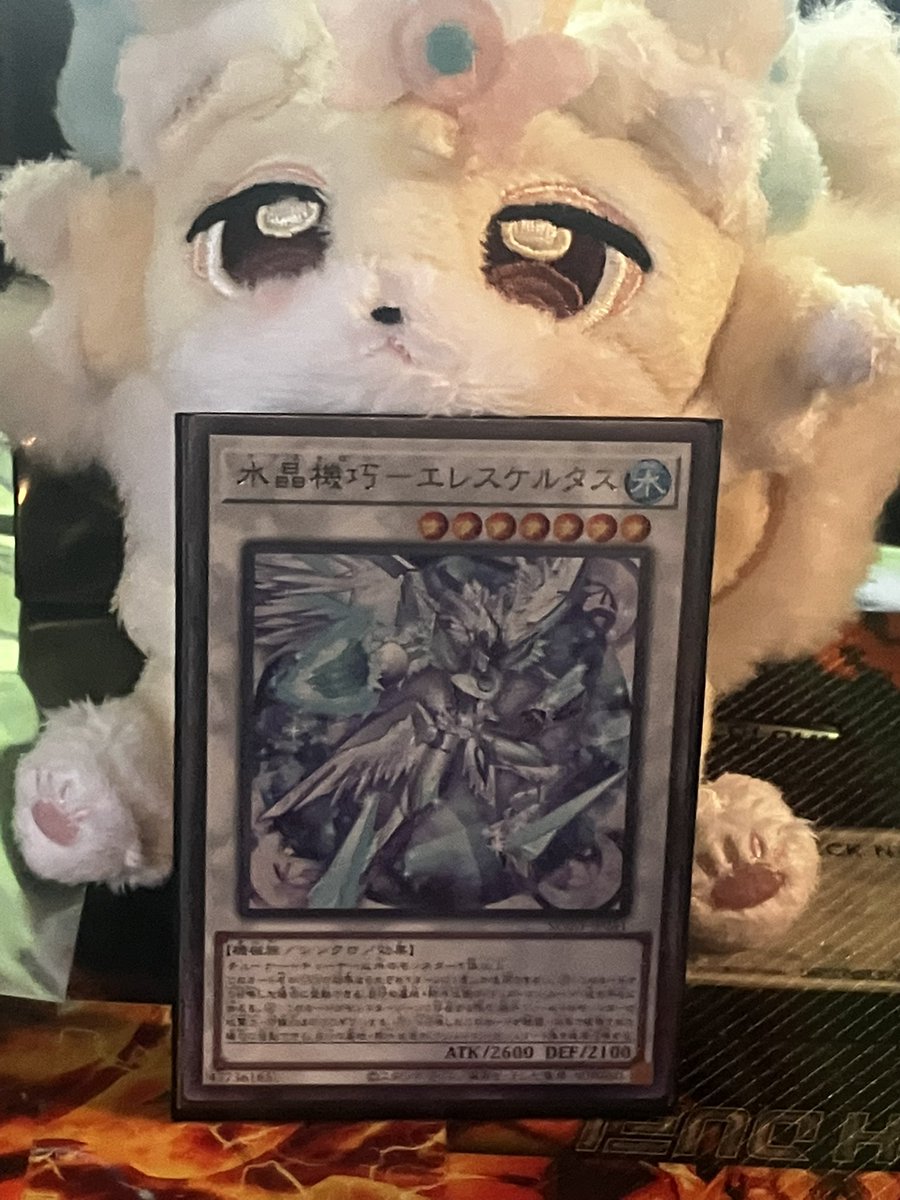 k*u様 アンモナイト化石（92） k*u様 アンモナイト化石（92） k*