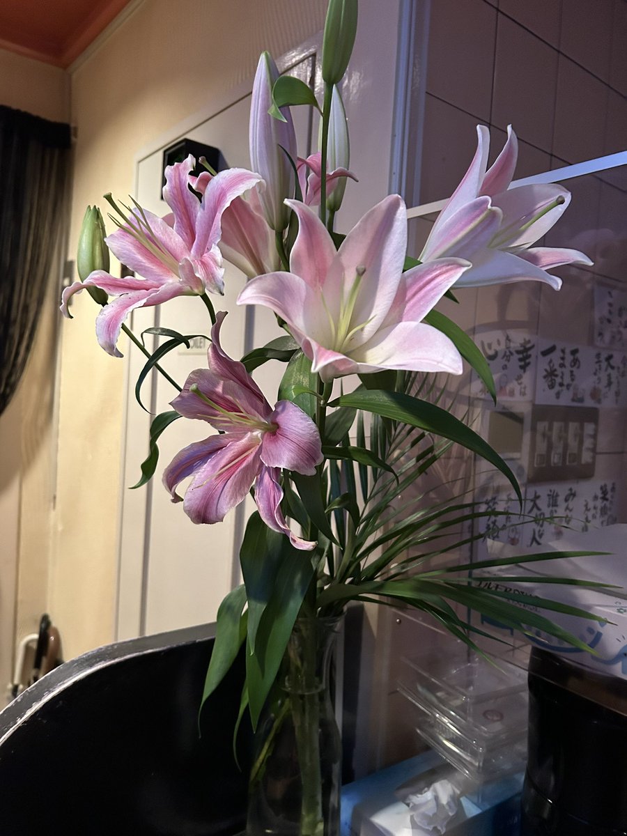 ganちゃん 080-3760-9408 (@gan12456549) / Posts / X