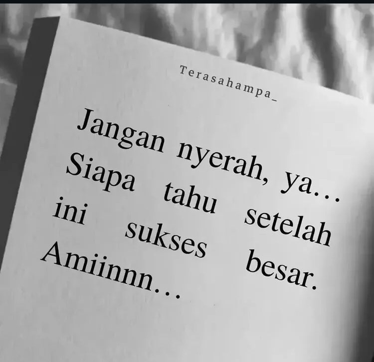 Laaa tweet media