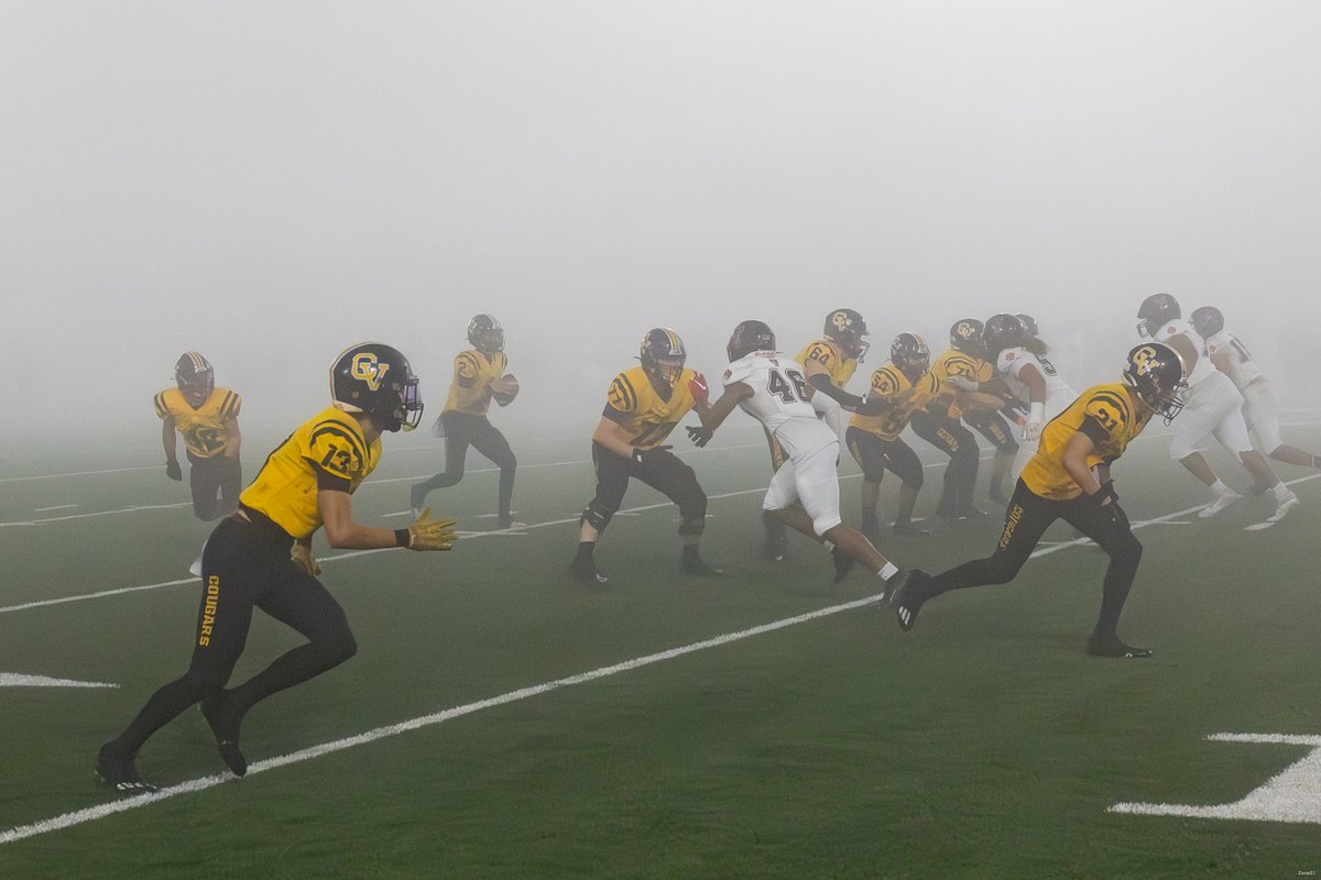 Action Archives tweet media