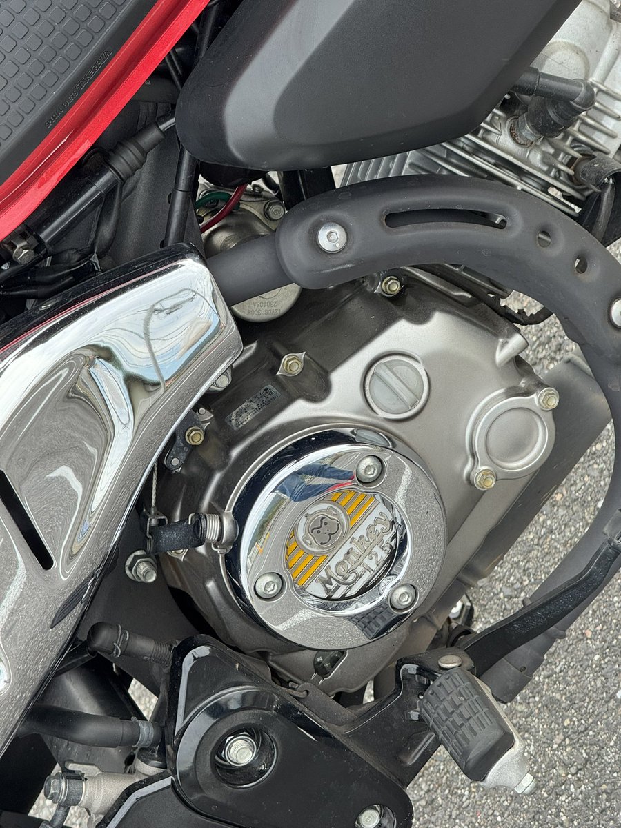 ハムページ ACES HIGH TEE HJ アイテム詳細｜DENHAM（デンハム）日本公式