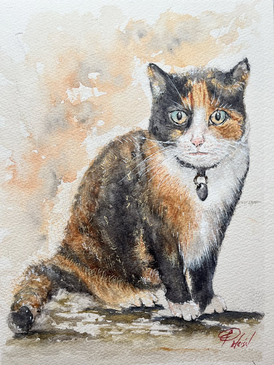 Patrick Heisel OBE tweet media