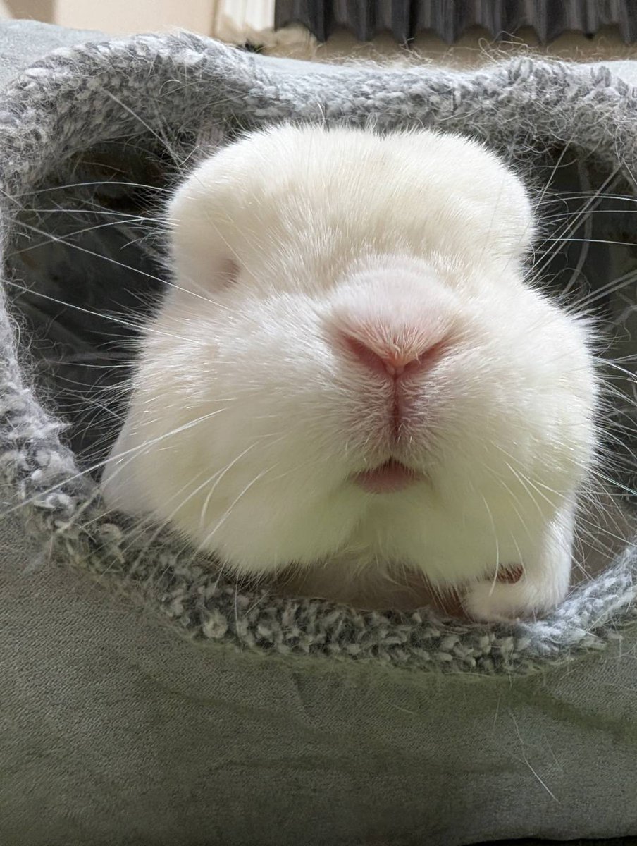 🐰11月もよろしく