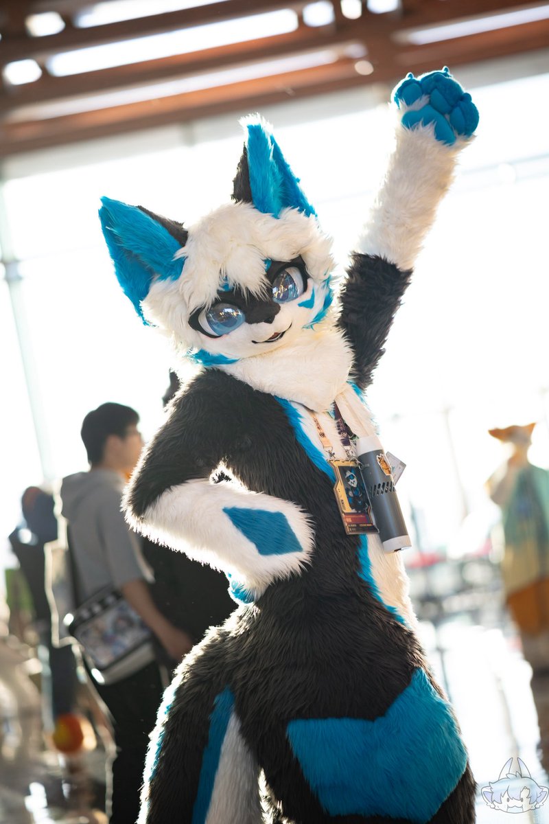 #FursuitEveryday 
Happy birthday to me :3

*Actually it was yesterday XD

📷:XueNai