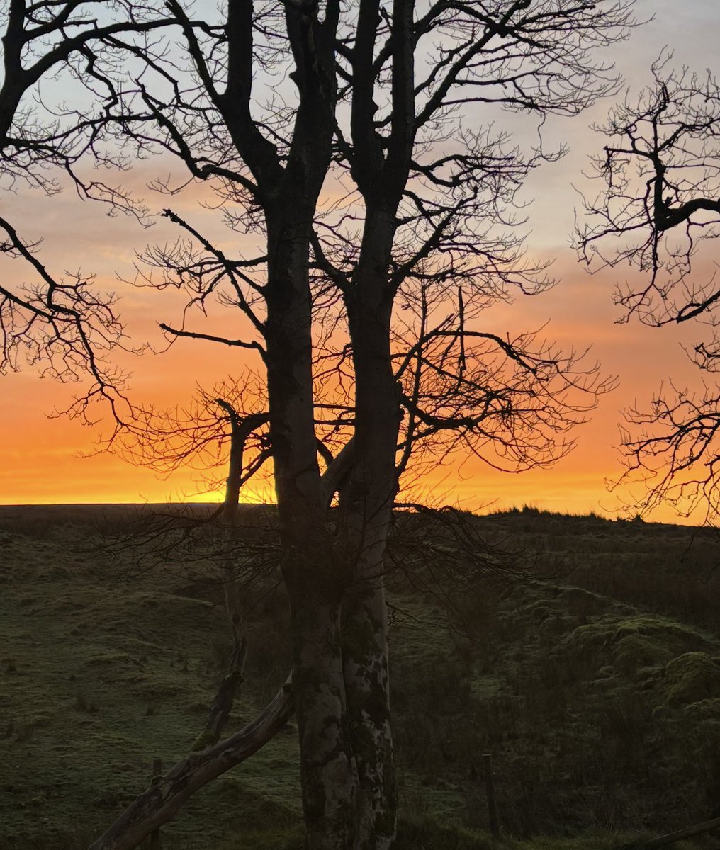 Divis Sunrise #Divismountain