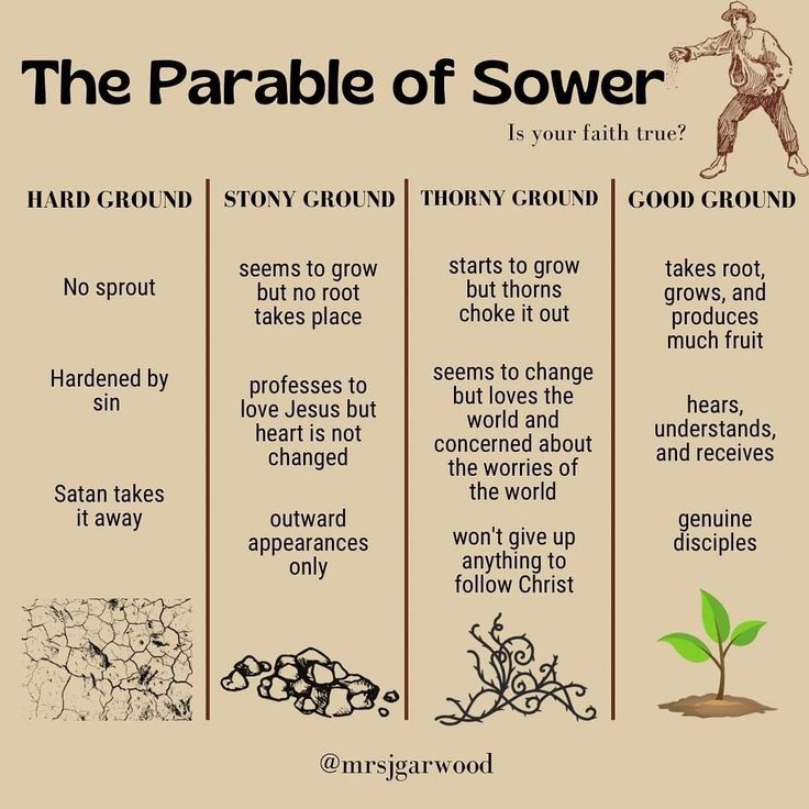 Jesus said, "Listen to the parable of the sower." 

The seed is the word of the kingdom.
Some hear it and reject it.
Some get excited but fall away when things get hard.
Some let worry and wealth choke it out.
But the good soil hears, understands, &amp; bears fruit. 🌾

Same seed,