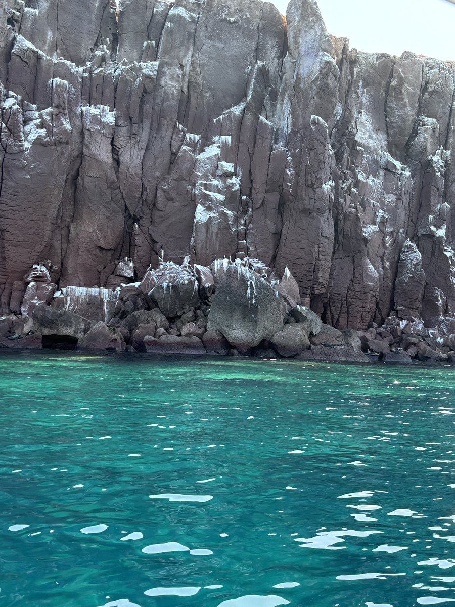 hannaoktaba's tweet image. Disfrutando del mar🤓