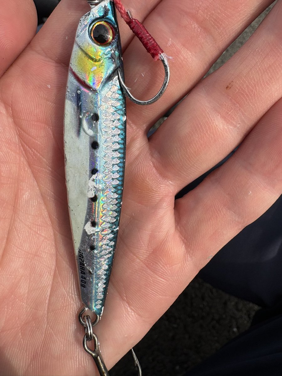 早い者勝ち！値下げ！！カーペンターガンマγ75-dトビウオ カーペンター ルアー値下げ 早い者勝ち！値下げ！！カーペンターガンマ