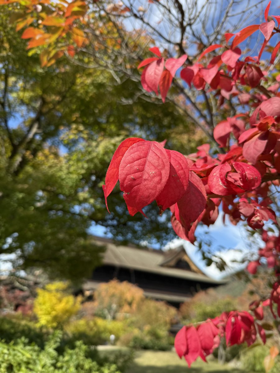善光寺ingしてきた 信仰はともかく、 出来る限り、お邪魔している町
