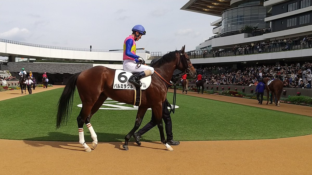 バルさま専用ページ た〜@⊂ﾟ＾┬───┬ on X