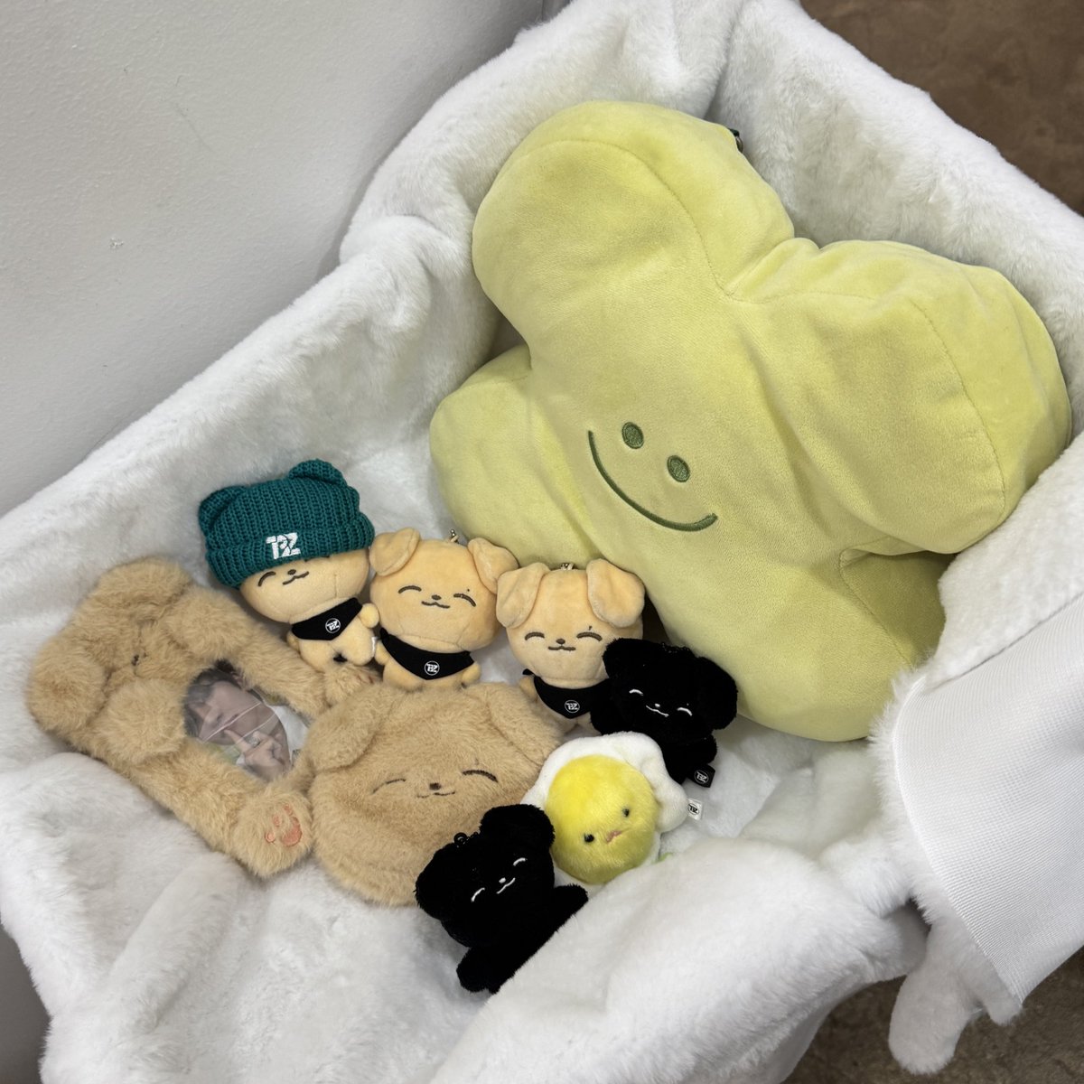 𝗰𝗮𝘀 🍊 tweet media