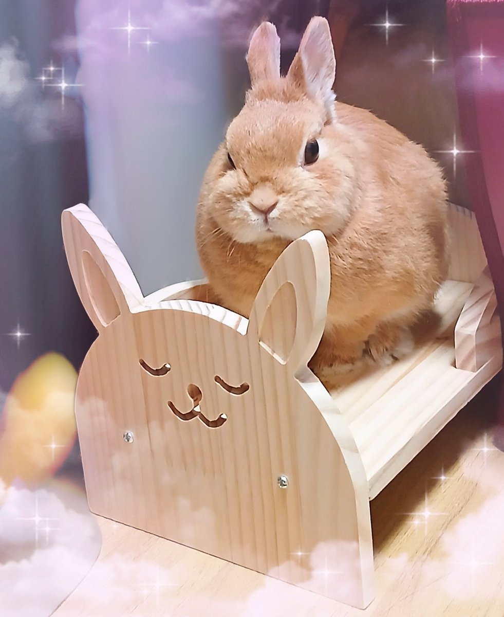 ポピ♪ ぽペピー (@popepi0425) / Posts / X