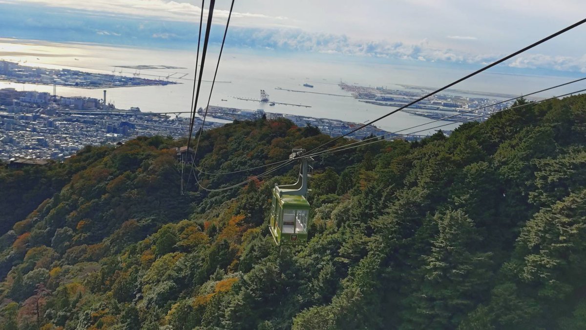 MayaViewline's tweet image. 摩耶山も秋色に少し色づいてきました🍁

#神戸 #摩耶ロープウェー #摩耶山 #掬星台 #秋