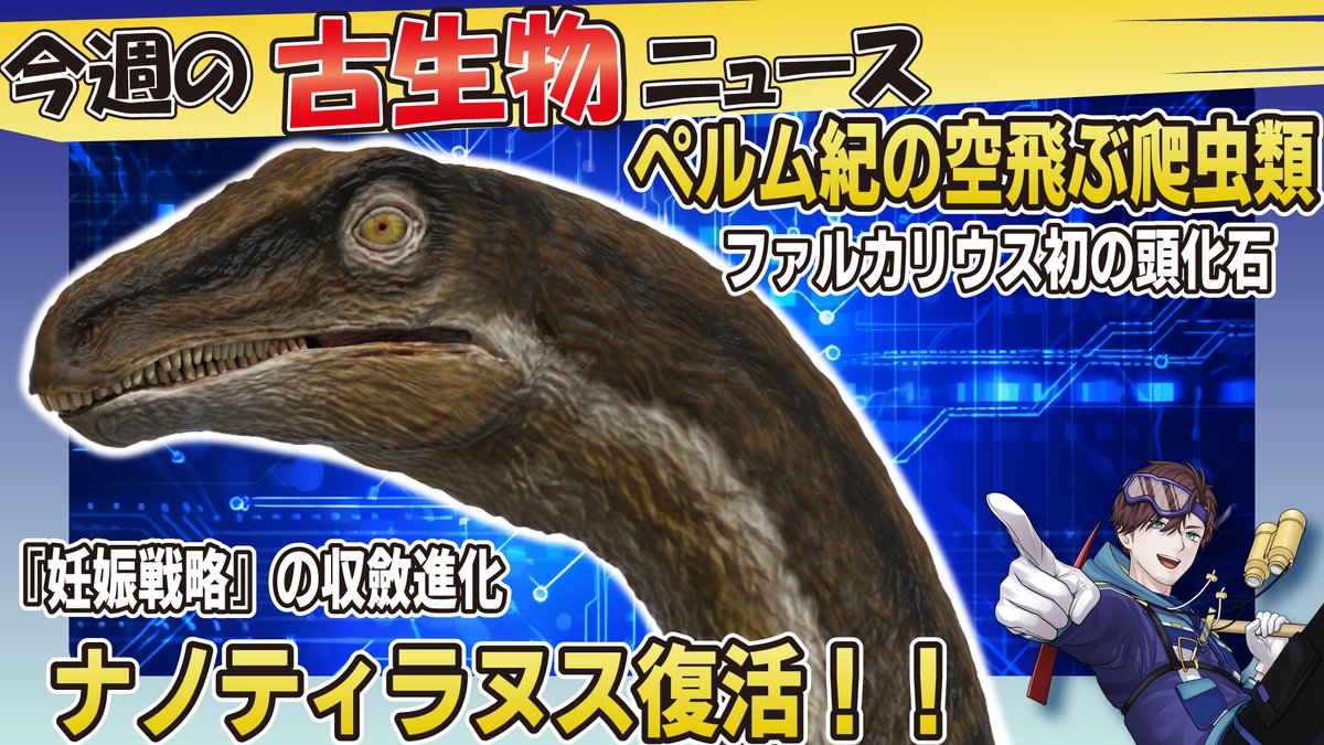 ねこねこぱんち (@HighDragoon) / Posts / X