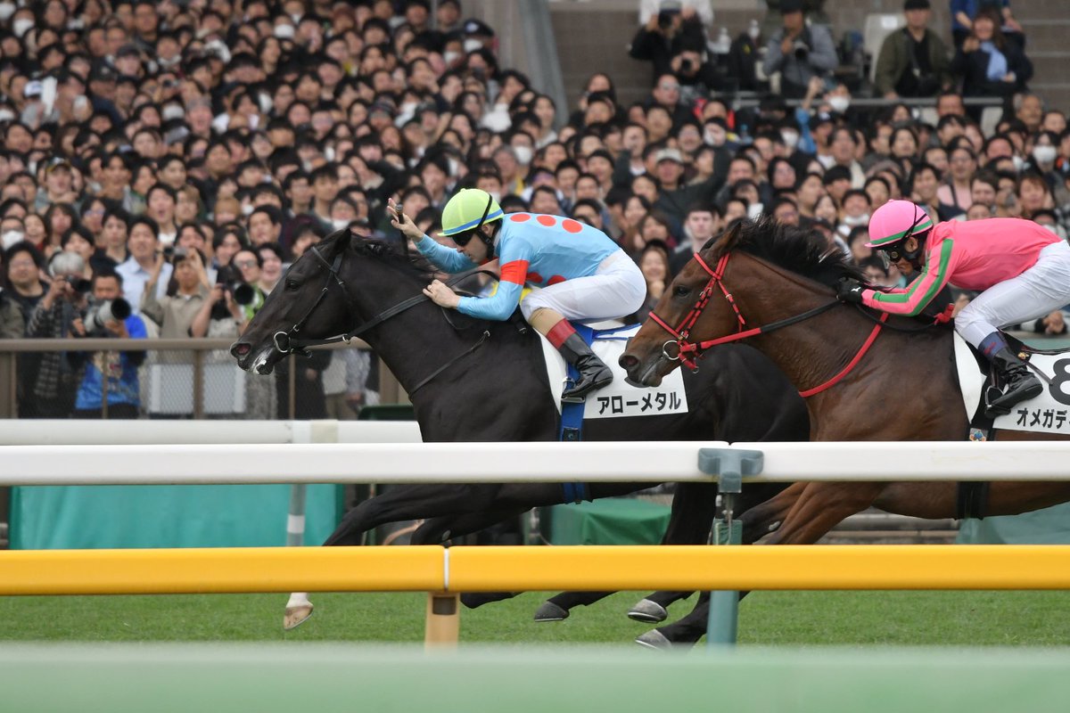 イクイノックス　2021メイクデビュー　ルメール騎手直筆サイン　たてがみ　鬣 イクイノックス 鬣 たてがみ 2022 皐月賞 C・ルメール騎手直筆サイン