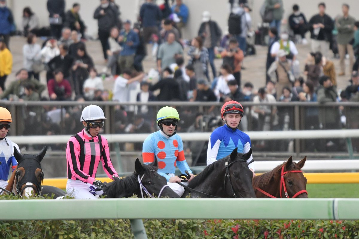 イクイノックス　2021メイクデビュー　ルメール騎手直筆サイン　たてがみ　鬣 イクイノックス 鬣 たてがみ 2022 皐月賞 C・ルメール騎手直筆サイン