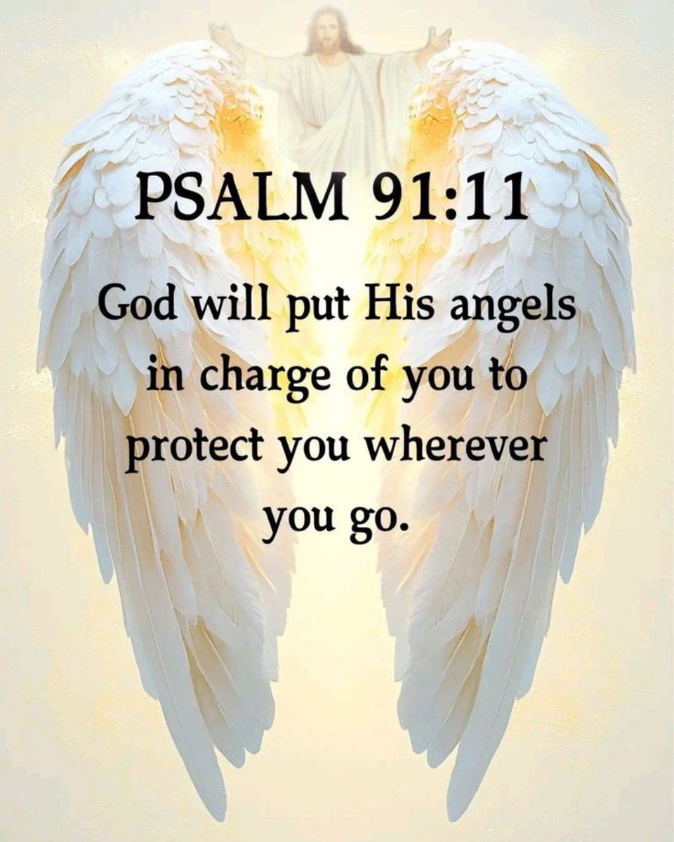 Holy Bible (@holy__bible1) on Twitter photo 