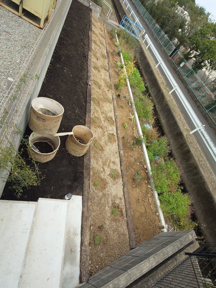 団子餅 ウーマーイーツ on X