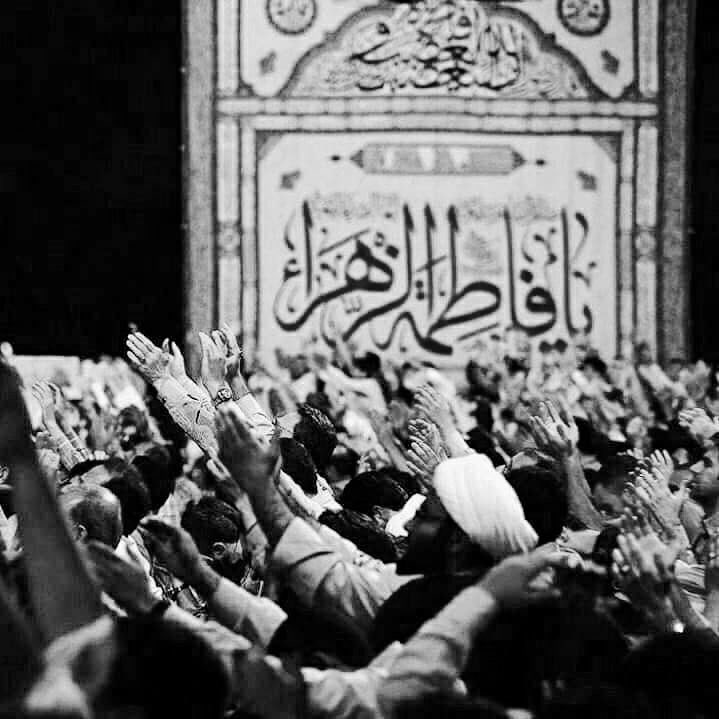 بنت فاطمة 🕊️ tweet media