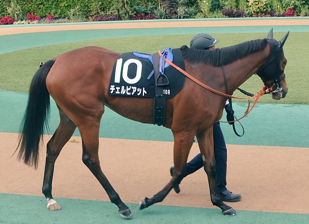 2178❣️ 瑪瑙　馬　唐馬　戦闘馬 唐三彩猿付馬 – Sancai Horse | 陶磁オンライン美術館ーTOUJI GRAPHICA