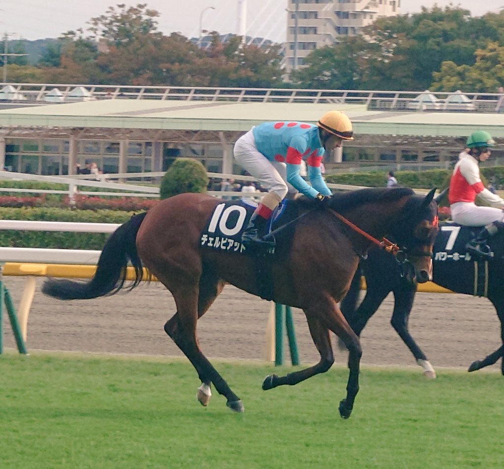 Yusuke🎣🐱 (@yutanaka01) / Posts / X